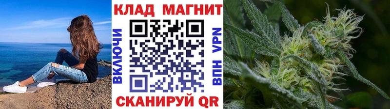Псилоцибиновые грибы Советский